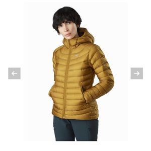 Arc’teryx Cerium LT hoody - women’s large